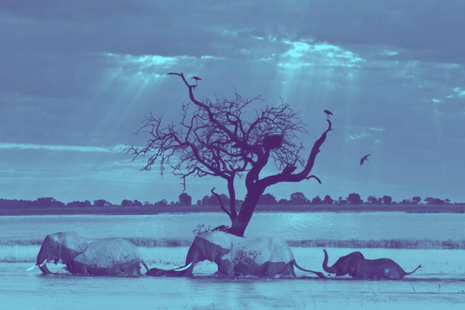 Car Rental Francistown Botswana Car hire Botswana CARHIRE